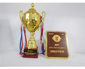 戰(zhàn)略合作伙伴獎(jiǎng)杯將牌